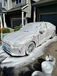Complete Full Interior And Exterior Detail